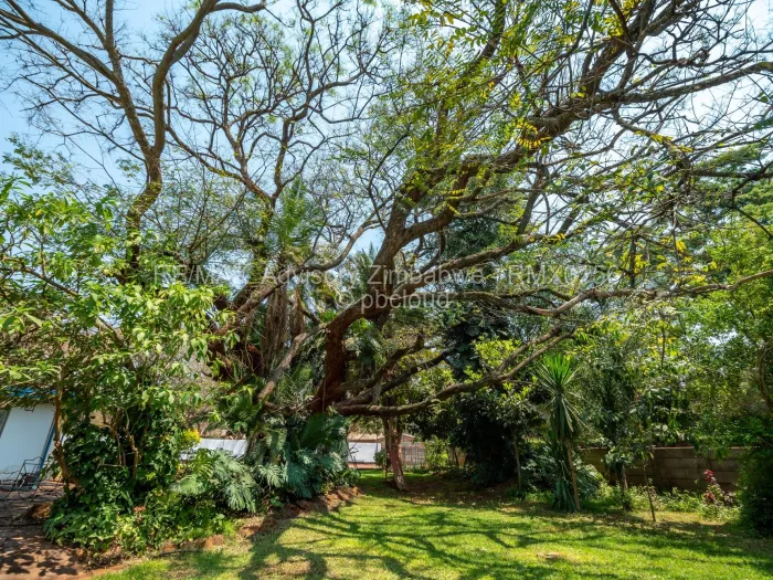 4 Bedroom House for Sale in Chisipite, Harare