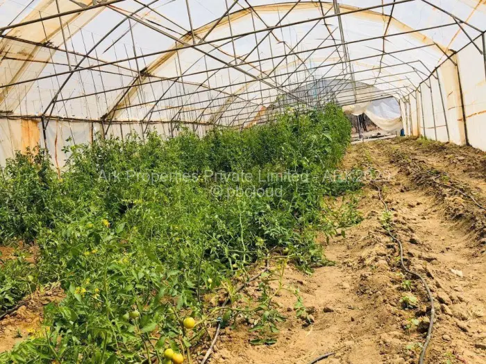 Farm/Plot for Sale in Ngezi, Ngezi