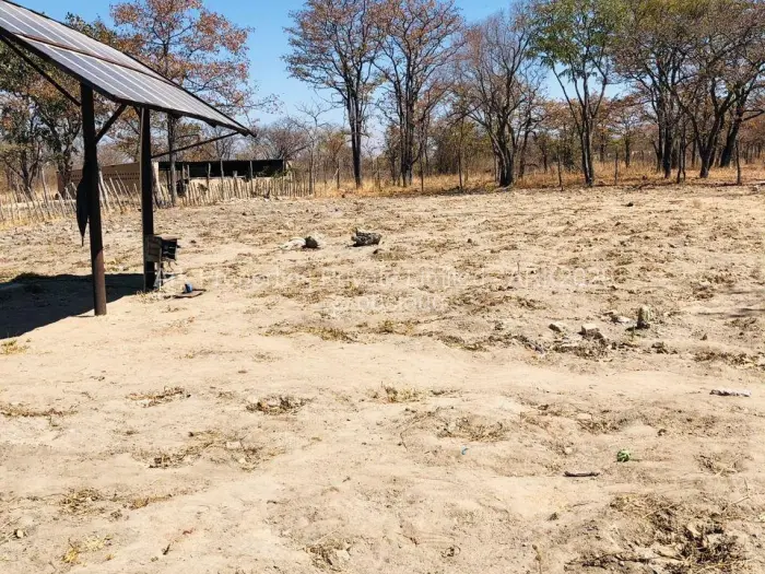 Farm/Plot for Sale in Ngezi, Ngezi