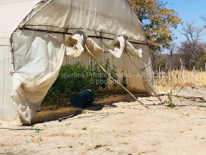 Farm/Plot for Sale in Ngezi