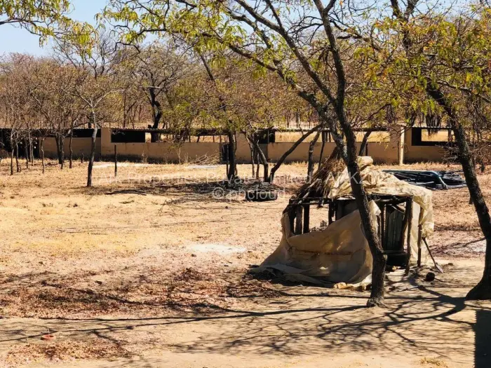 Farm/Plot for Sale in Ngezi, Ngezi