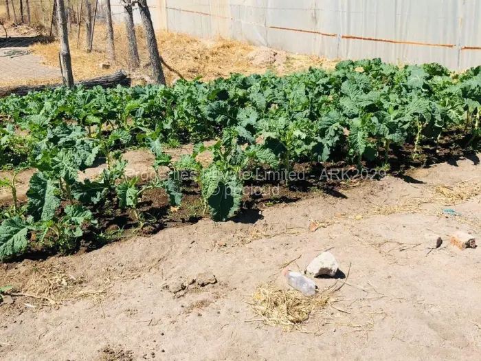 Farm/Plot for Sale in Ngezi, Ngezi