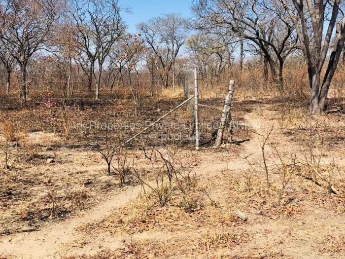 Farm/Plot for Sale in Ngezi, Ngezi