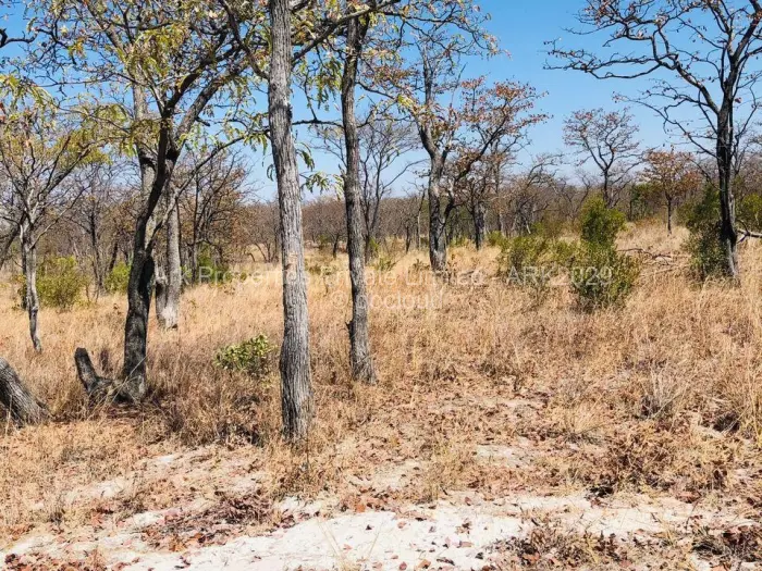 Farm/Plot for Sale in Ngezi, Ngezi