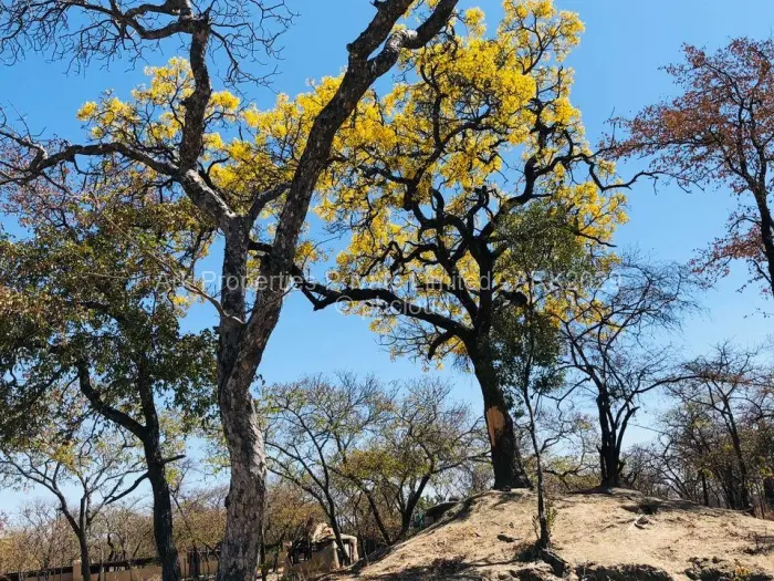 Farm/Plot for Sale in Ngezi, Ngezi