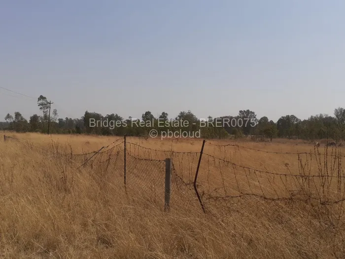 Farm for Sale in Arcturus, Arcturus