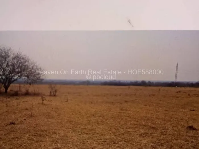 Farm for Sale in Selous, Selous