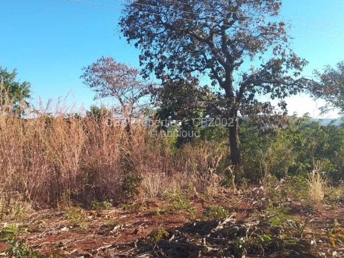 Residential Stand for Sale in Concession, Concession