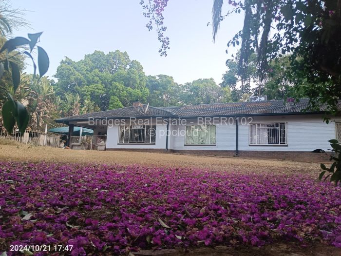 4 Bedroom House for Sale in Rolf Valley, Harare Propertybook