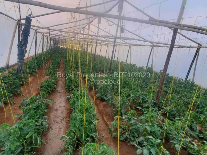 Farm/Plot for Sale in Domboshawa, Domboshawa