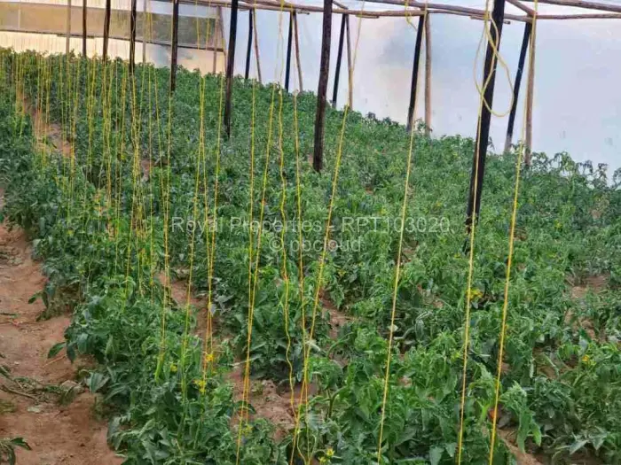 Farm/Plot for Sale in Domboshawa, Domboshawa