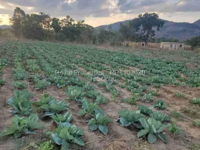 Farm/Plot for Sale in Domboshawa, Domboshawa