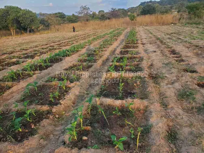 Farm/Plot for Sale in Domboshawa, Domboshawa