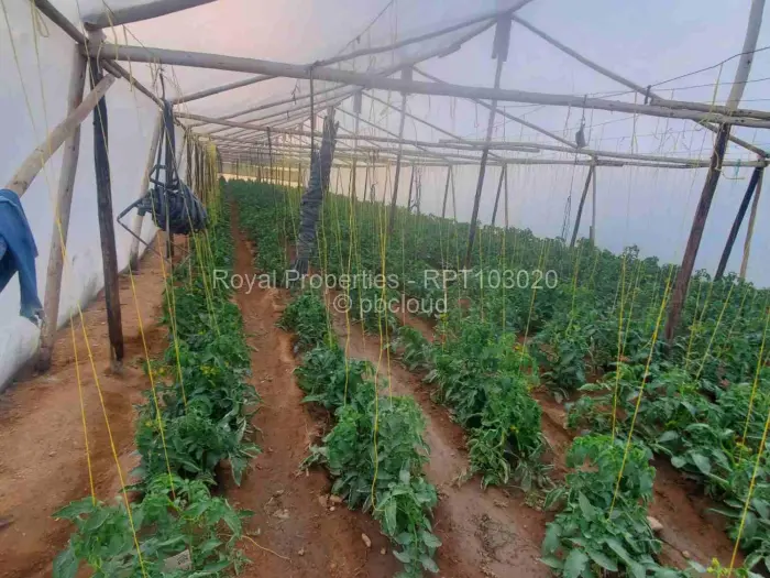 Farm/Plot for Sale in Domboshawa, Domboshawa