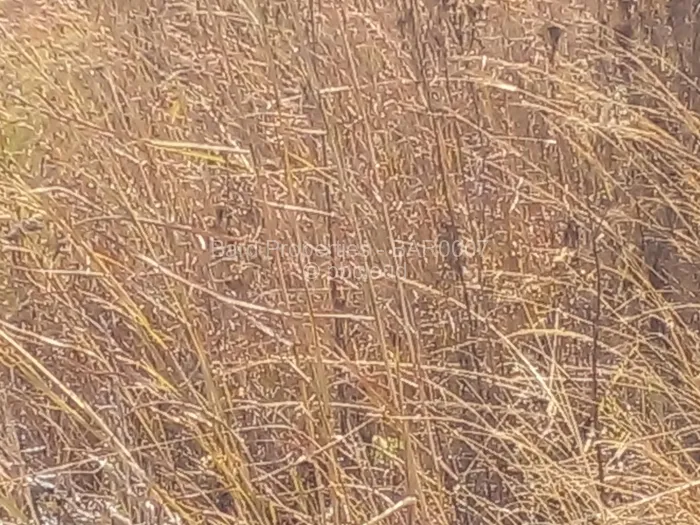 Land for Sale in Hogerty Hill, Harare