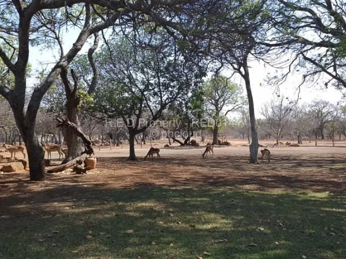 3 Bedroom House for Sale in Fortunes Gate, Bulawayo