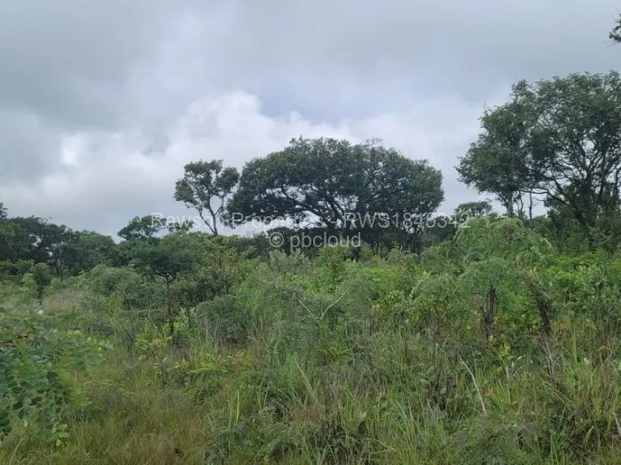 Farm/Plot for Sale in Goromonzi, Goromonzi