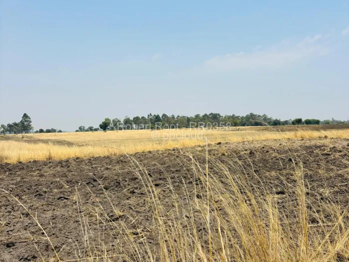 Land to Rent in Ruwa, Ruwa