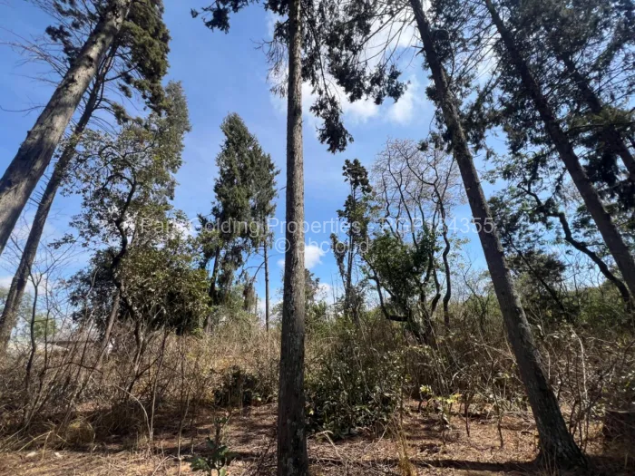 Land for Sale in Ruwa, Ruwa