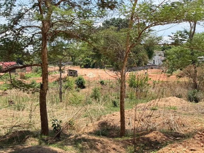 Stand for Sale in Chinhoyi, Chinhoyi