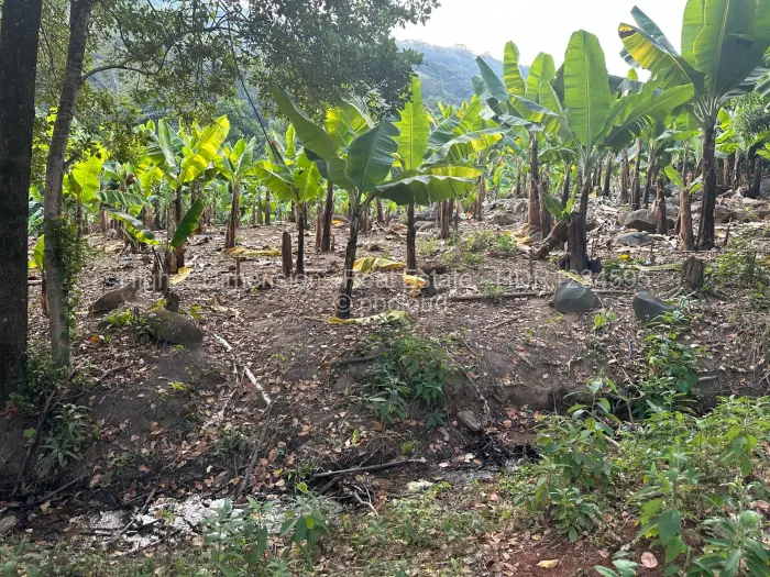 Farm for Sale in Burma Valley, Mutare