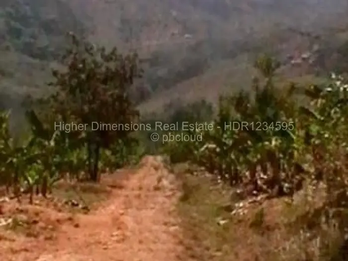 Farm for Sale in Burma Valley, Mutare