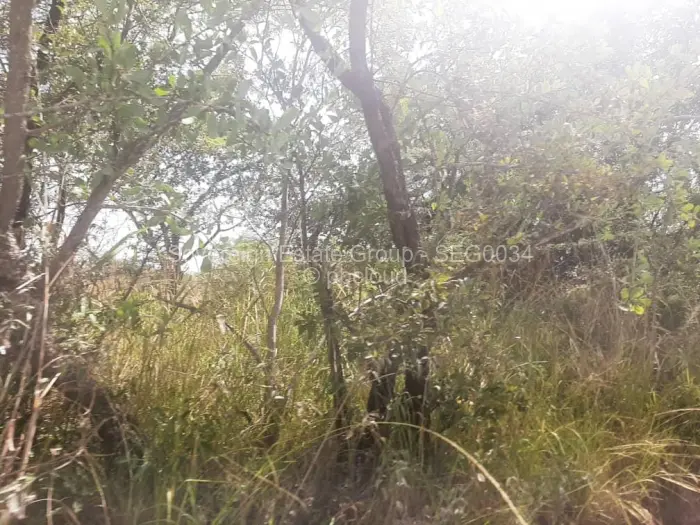 Farm/Plot for Sale in Beatrice, Beatrice