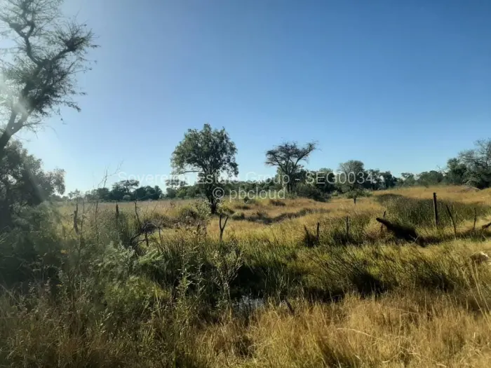 Farm/Plot for Sale in Beatrice, Beatrice