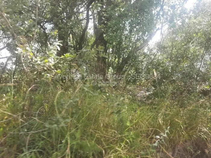 Farm/Plot for Sale in Beatrice, Beatrice