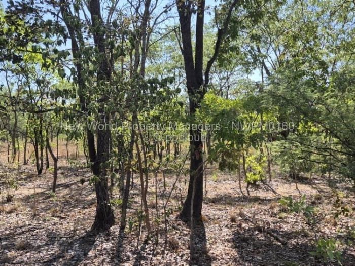 Farm/Plot for Sale in Beatrice, Beatrice