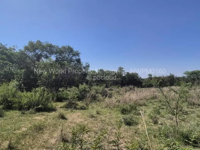 Farm/Plot for Sale in Beatrice, Beatrice
