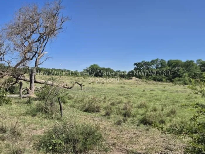 Farm/Plot for Sale in Beatrice, Beatrice