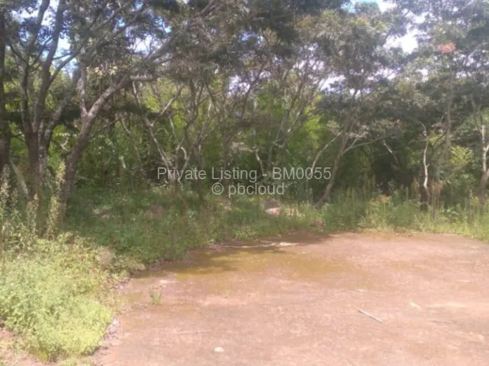 Stand for Sale in Chimanimani, Chimanimani