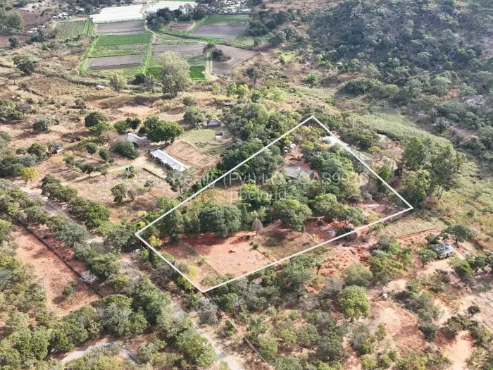Farm/Plot for Sale in Christon Bank, Christon Bank