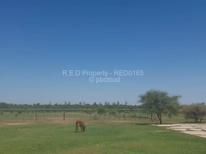 Farm for Sale in Umguza, Umguza