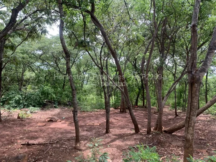 Land for Sale in Redcliff, Redcliff