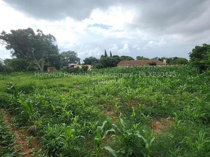 Farm/Plot for Sale in Prospect, Harare