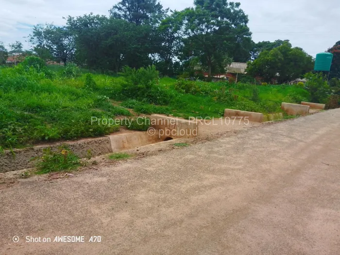 Stand for Sale in Cold Comfort, Harare