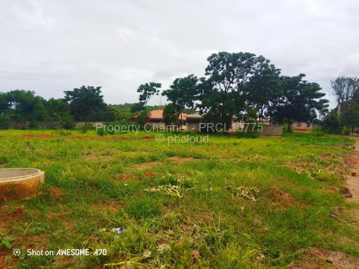 Stand for Sale in Cold Comfort, Harare