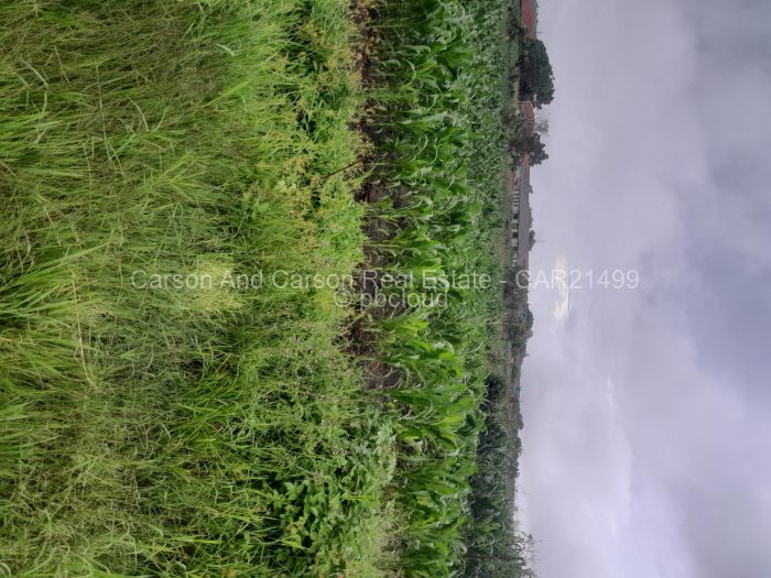 Residential Stand for Sale in Norton, Norton