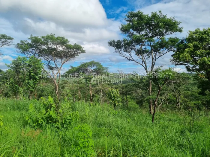Land for Sale in Glen Forest, Harare