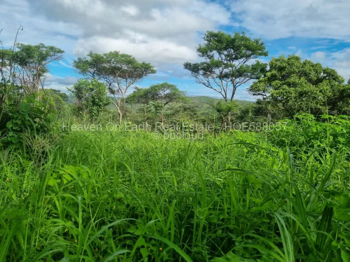 Land for Sale in Glen Forest, Harare