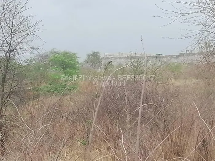 Land for Sale in Buena Vista, Bulawayo