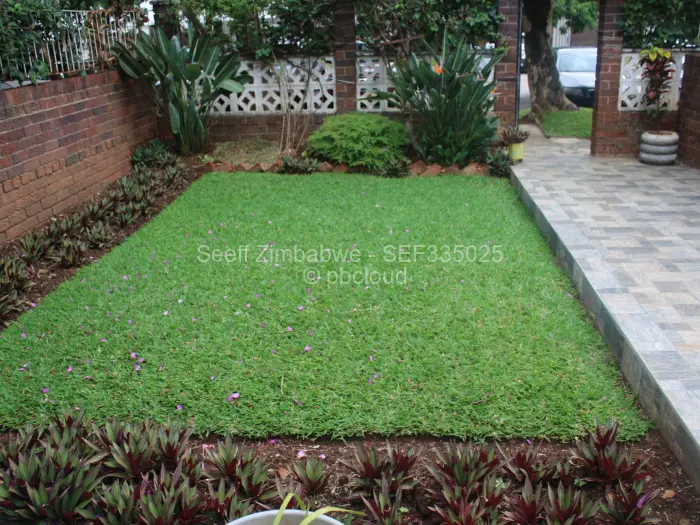 2 Bedroom Cottage/Garden Flat to Rent in Harare City Centre, Harare