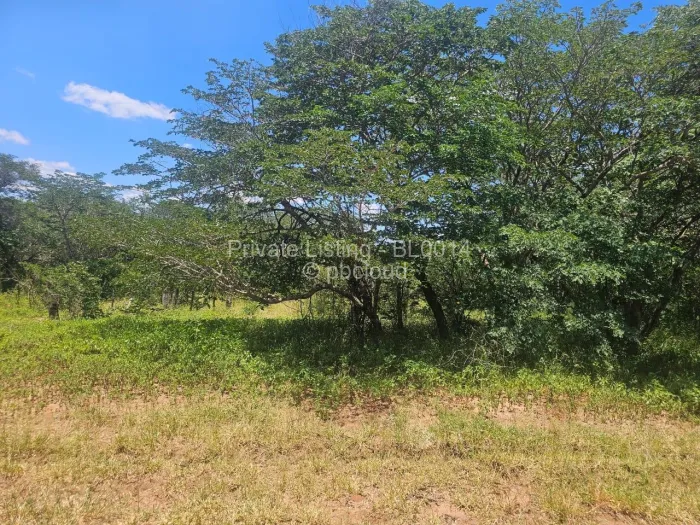 Farm/Plot for Sale in Bubi, Bubi