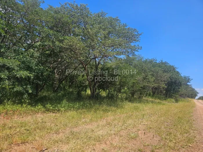 Farm/Plot for Sale in Bubi, Bubi