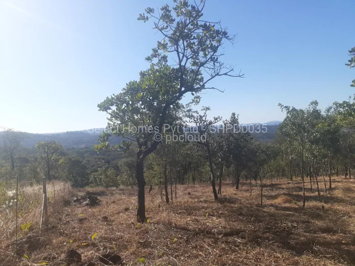 Land for Sale in Shawasha Hills, Harare