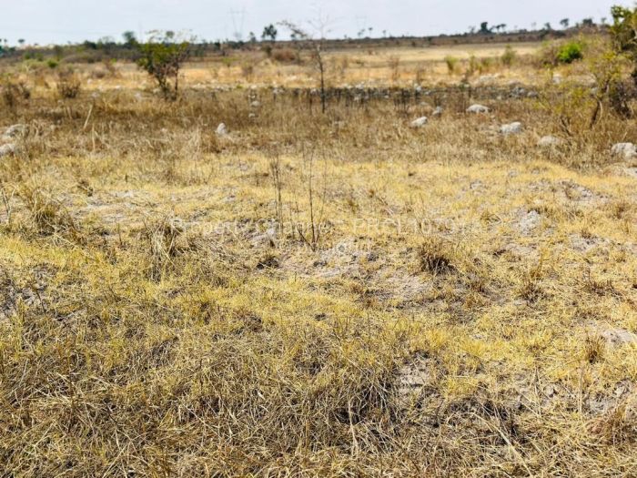 Farm/Plot for Sale in Beatrice, Beatrice