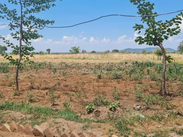 Land for Sale in Banket, Banket