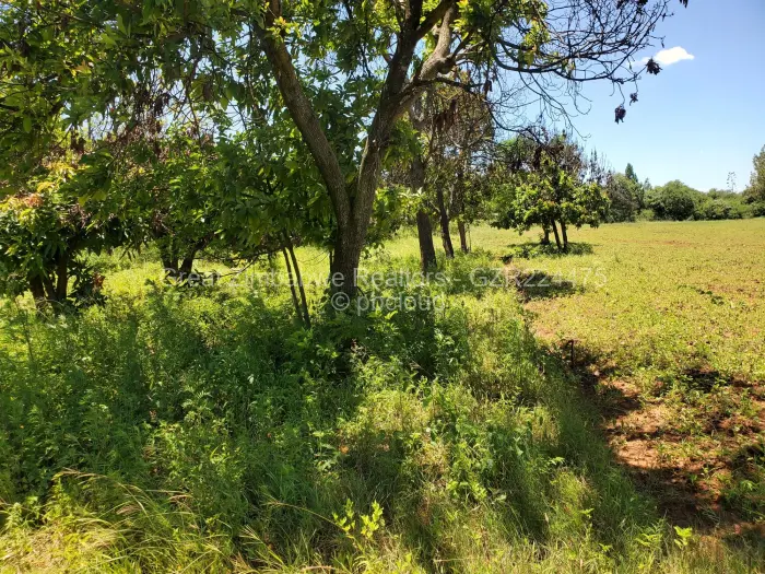 Farm/Plot for Sale in Masvingo, Masvingo